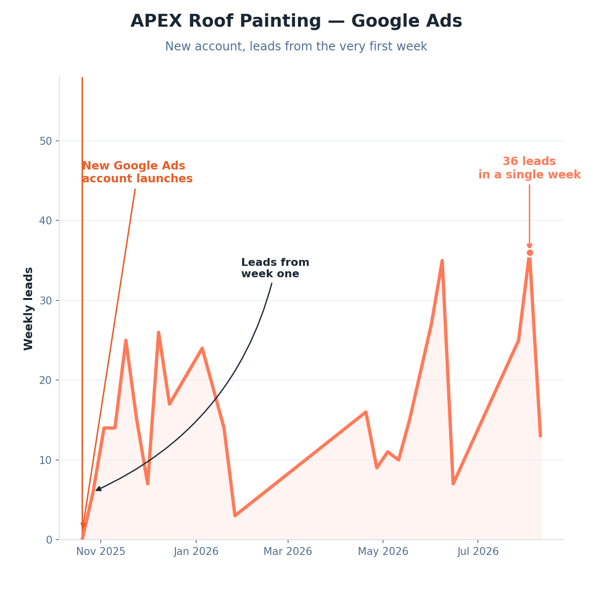 Apex Roof painting Google Ads Case Study